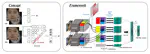 Look Around for Anomalies: Weakly-Supervised Anomaly Detection via Context-Motion Relational Learning